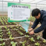 오이 육묘 지원 사업 현장, 건강하게 자란 오이 모종과 지원금 안내판